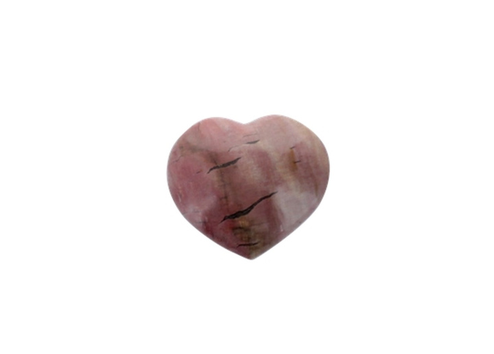 Knjiga Cœur Bois Fossile/Silicifié - 5 cm 