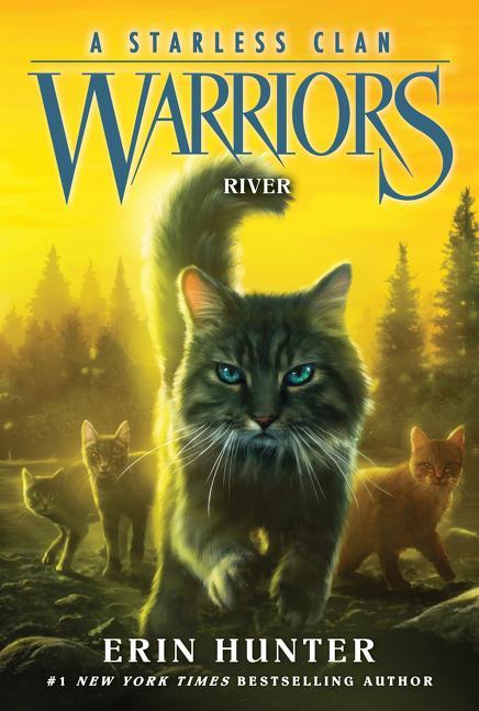 Kniha Warriors: A Starless Clan #1: River 