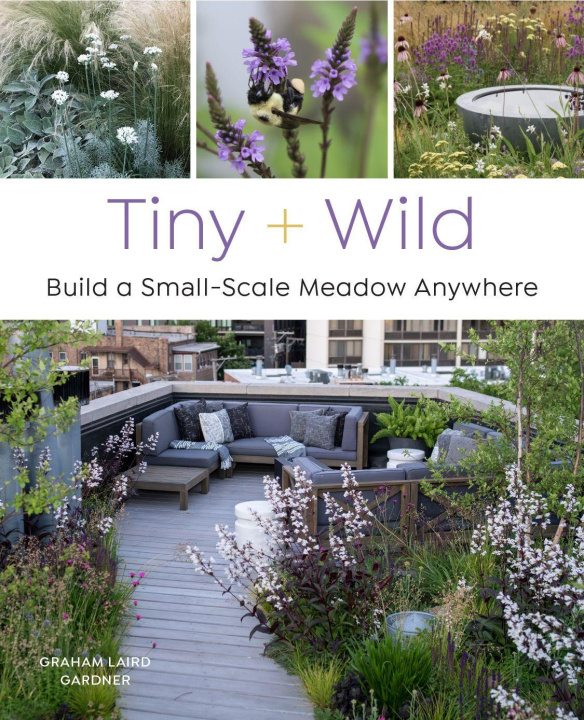 Kniha Tiny and Wild 