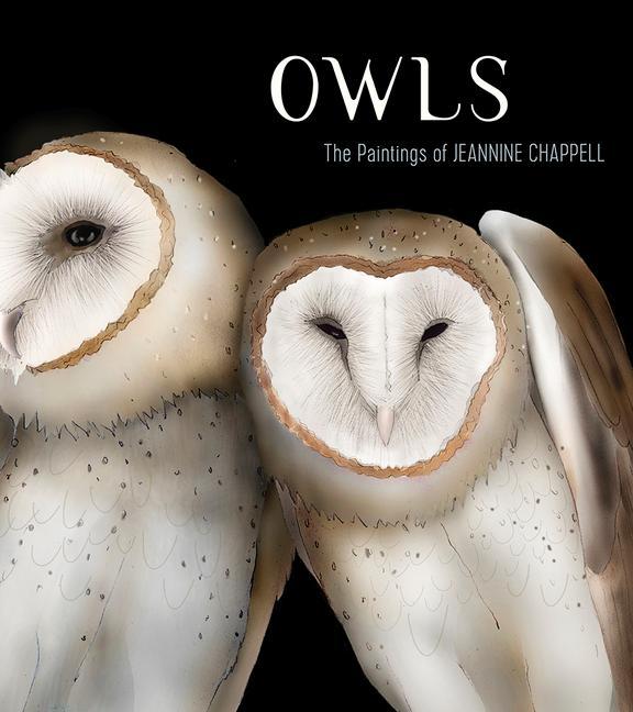 Kniha OWLS THE PAINTINGS OF JEANNINE CHAPPELL 