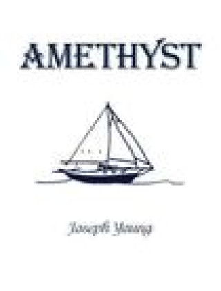 Knjiga Amethyst 