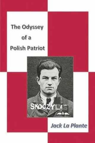 Könyv The Odyssey of a Polish Patriot 