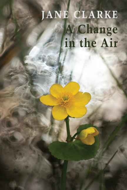 Книга A Change in the Air 