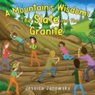 Knjiga Mountain's Wisdom Jessica Janowsky