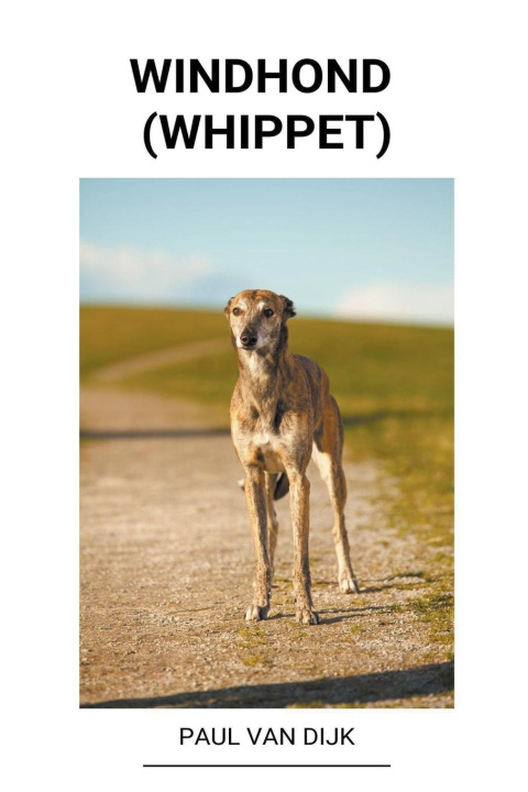 Carte Windhond (Whippet) 