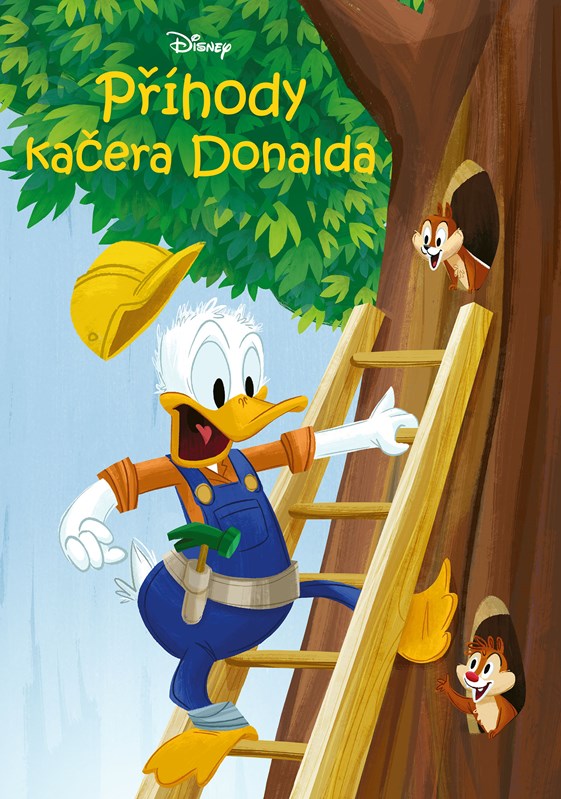 Kniha Disney Příhody kačera Donalda 