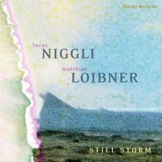 Zvok Still Storm Lucas Niggli & Matthias Loibner
