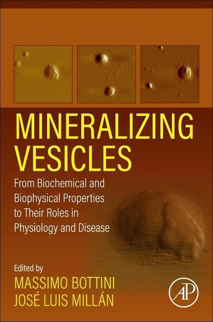Book Mineralizing Vesicles Massimo Bottini