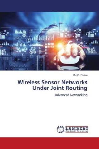 Kniha Wireless Sensor Networks Under Joint Routing 