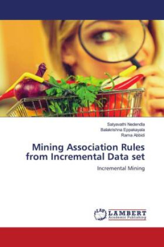 Knjiga Mining Association Rules from Incremental Data set Balakrishna Eppakayala