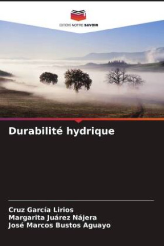 Knjiga Durabilité hydrique Margarita Juárez Nájera