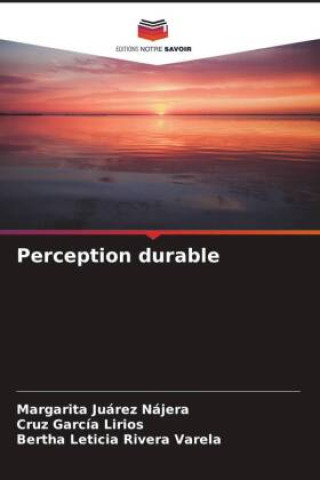Livro Perception durable Cruz García Lirios