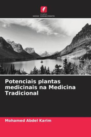 Kniha Potenciais plantas medicinais na Medicina Tradicional 