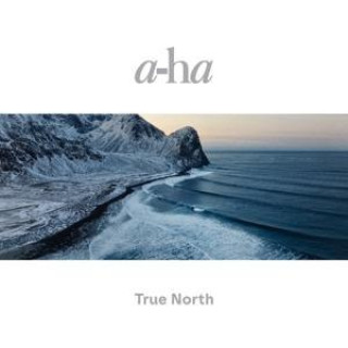 Audio True North a-ha