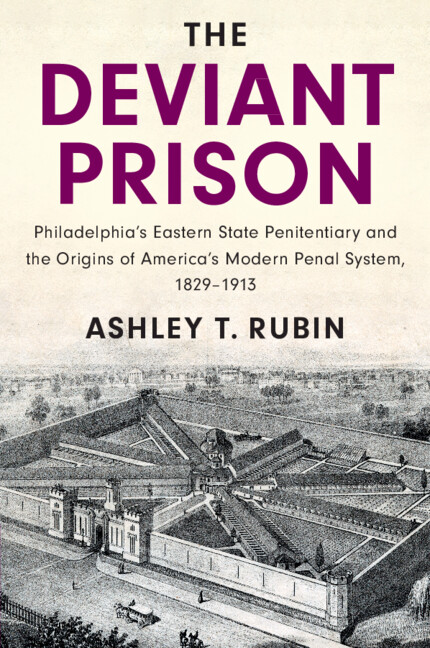 Knjiga Deviant Prison Ashley T. Rubin