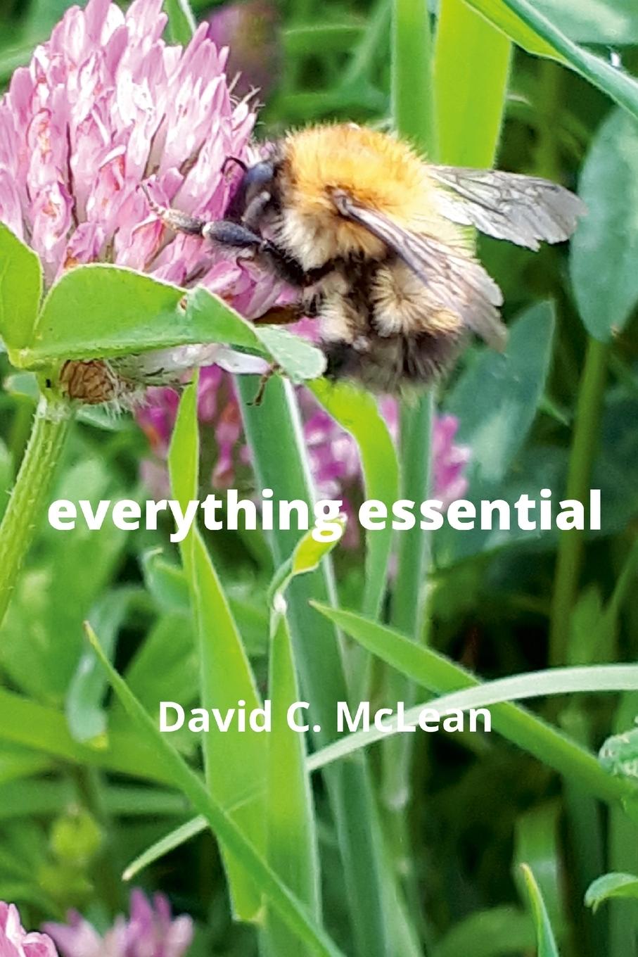 Knjiga everything essential David C. McLean