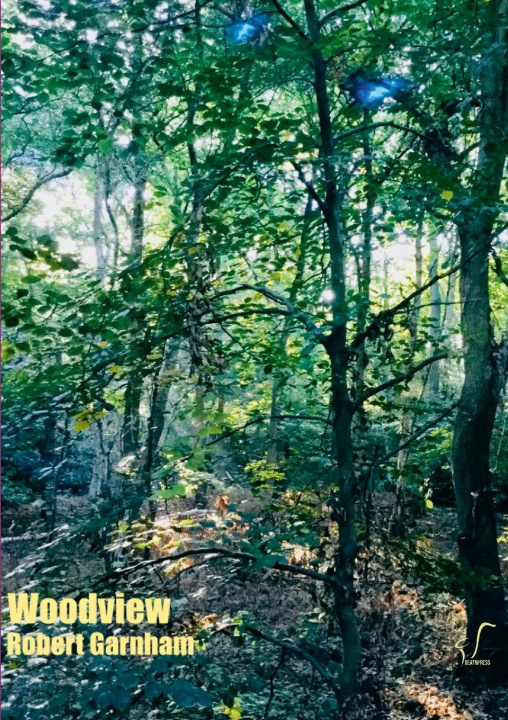 Buch Woodview Jason Disley