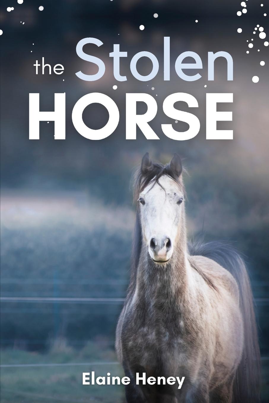 Książka The Stolen Horse - Book 4 in the Connemara Horse Adventure Series for Kids | The Perfect Gift for Children age 8-12 