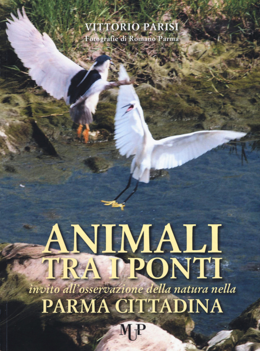 Könyv Animali tra i ponti. Invito all'osservazione della natura nella Parma cittadina Vittorio Parisi