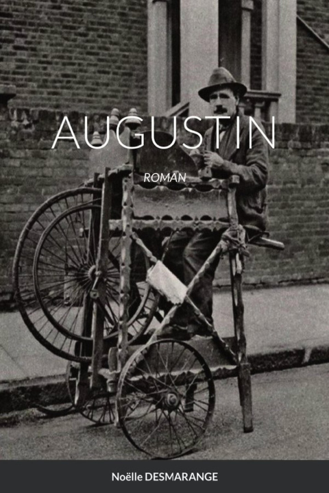 Knjiga AUGUSTIN Noëlle VIBERT