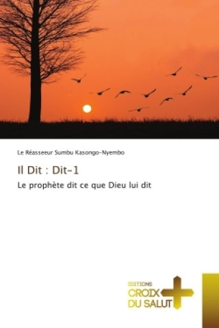 Knjiga Il Dit : Dit-1 Le Réasseeur Sumbu Kasongo-Nyembo