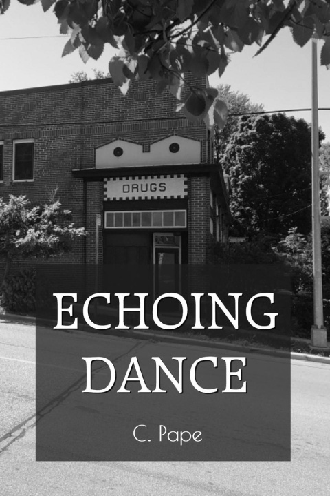 Knjiga Echoing Dance C. Pape
