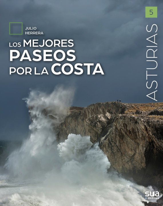 Kniha Los mejores paseos por la costa JULIO HERRERA