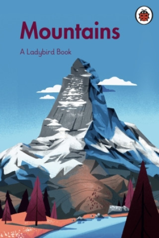 Kniha Ladybird Book: Mountains Gerhard Van Wyk