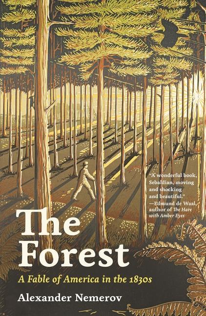 Kniha Forest Alexander Nemerov