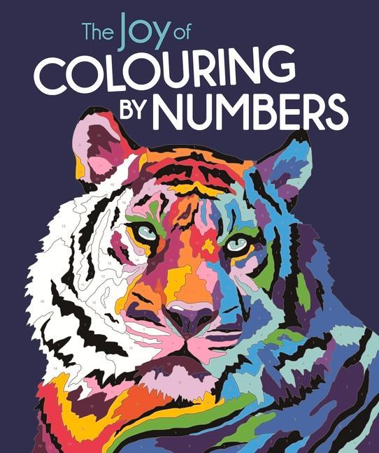 Book Joy of Colouring by Numbers Lauren Farnsworth