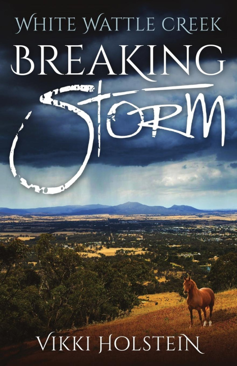 Knjiga Breaking Storm Vikki Holstein