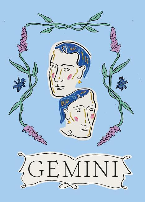 Книга Gemini 