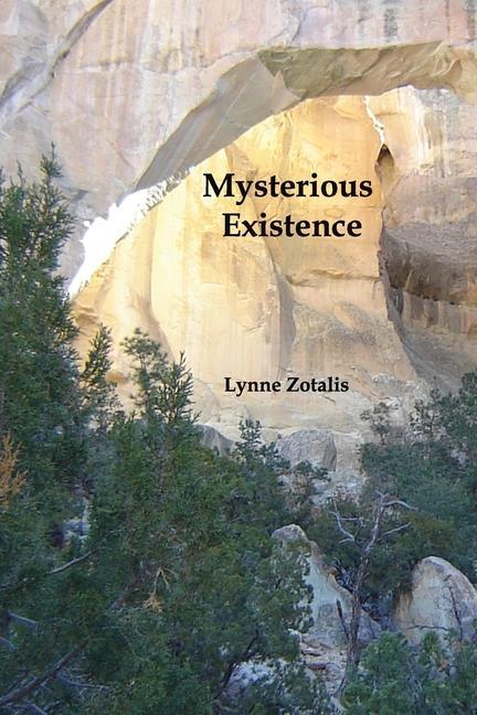 Knjiga Mysterious Existence Lynne Zotalis