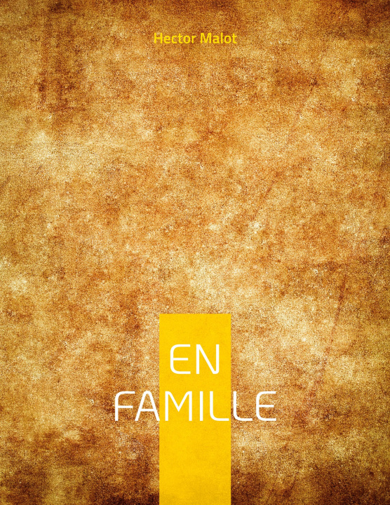 Boek En Famille Malot