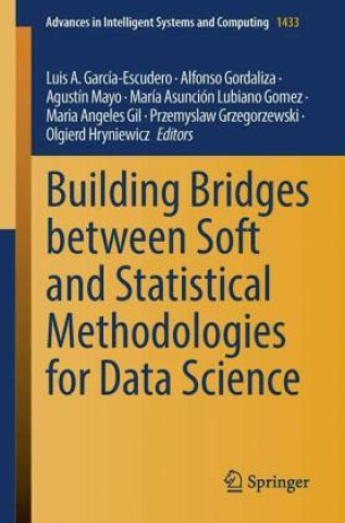 Buch Building Bridges between Soft and Statistical Methodologies for Data Science Luis A. García-Escudero