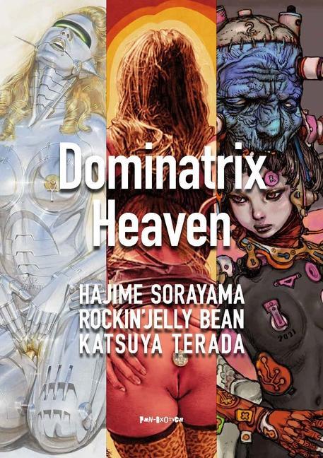 Kniha Dominatrix Heaven 
