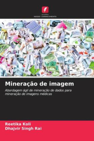 Knjiga Mineraç?o de imagem Dhajvir Singh Rai