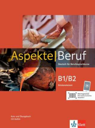Книга Aspekte Beruf B1/B2 Brückenelement Tanja Mayr-Sieber