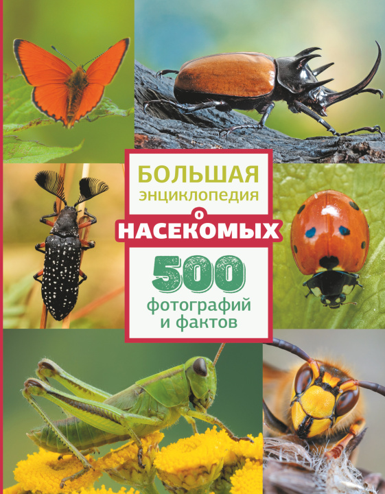 Könyv Большая энциклопедия о насекомых. 500 фотографий и фактов 