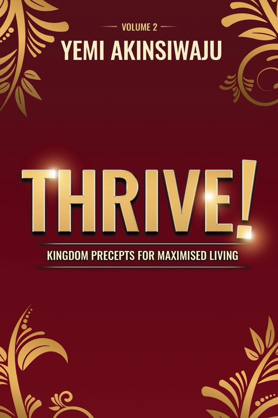 Boek Thrive Volume 2 Yemi Akinsiwaju
