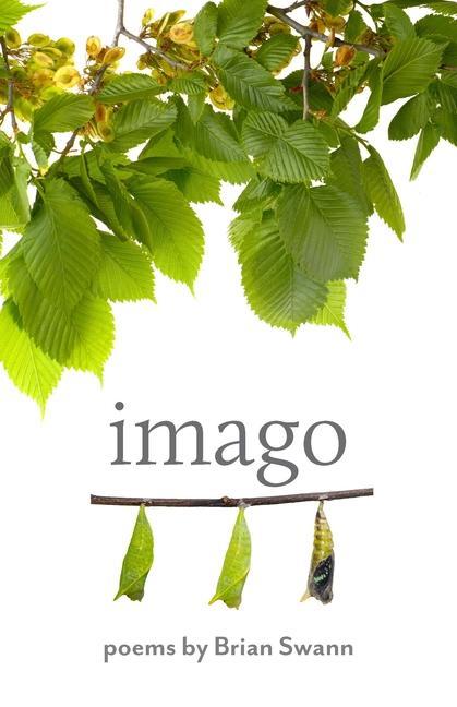 Libro Imago Brian Swann