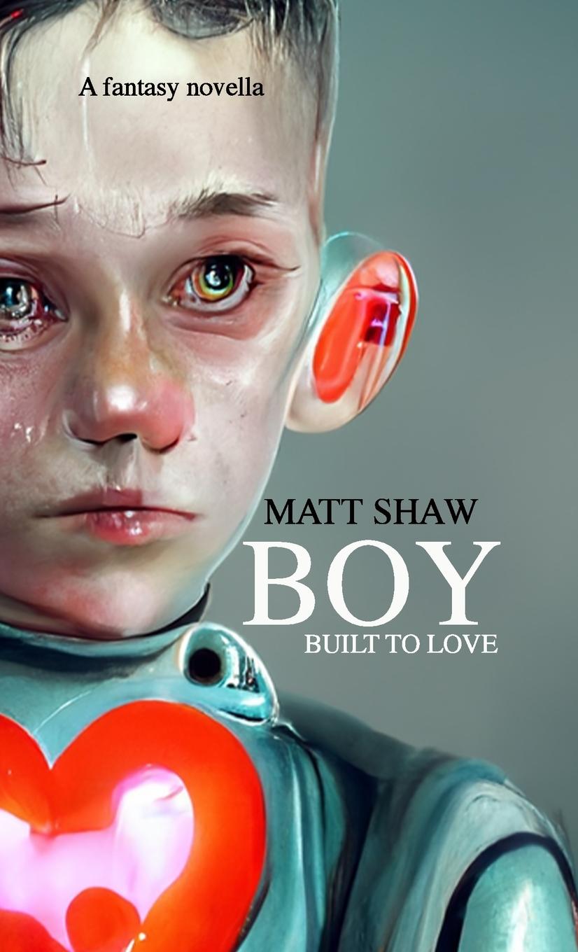 Knjiga Boy Matt Shaw