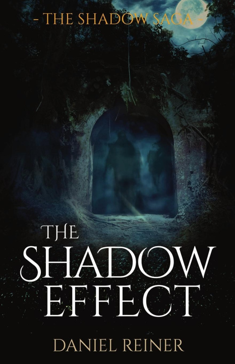 Book The Shadow Effect Daniel Reiner