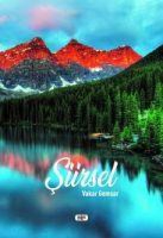 Knjiga Siirsel 