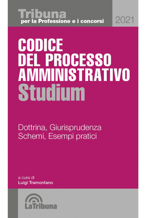 Kniha Codice del processo amministrativo Studium 