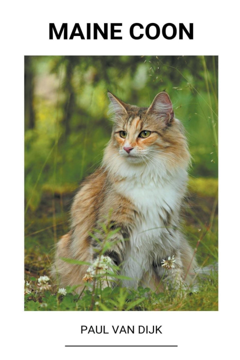 Carte Maine Coon 