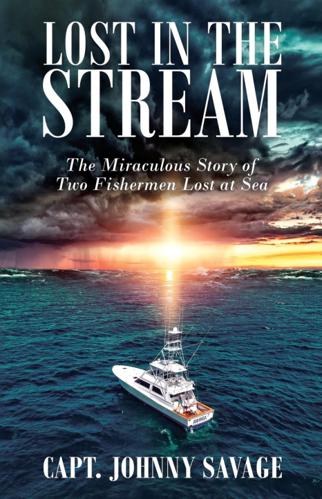 Buch Lost in the Stream Johnny Savage