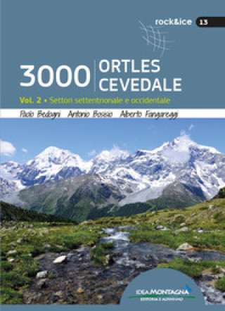Kniha 3000 Ortles-Cevedale Alberto Fangareggi