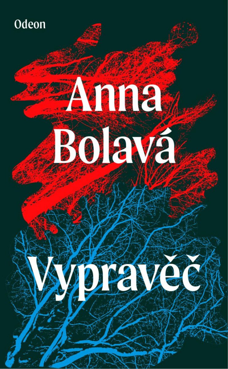 Book Vypravěč Anna Bolavá