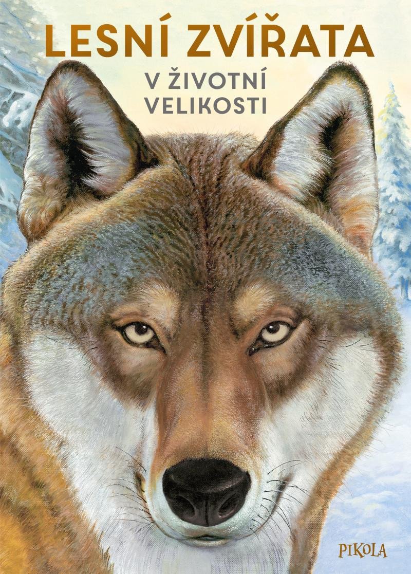 Kniha Lesní zvířata v životní velikosti Holger Haag